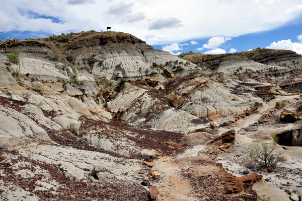 top of the hill-Cap Rock Trail Overlook